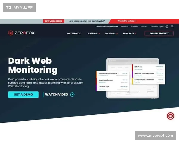 最佳的暗网搜索引擎 2024