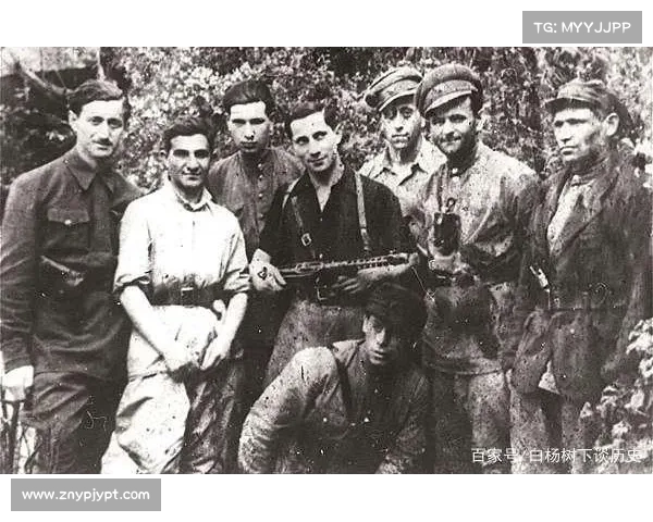 法国市镇遭受大规模网络攻击 媒体 法国市镇遭受大规模网络攻击 媒体